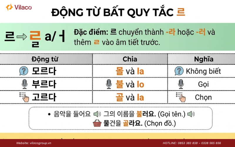 cách chia động từ tiếng Hàn