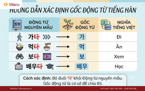 cách chia động từ tiếng Hàn