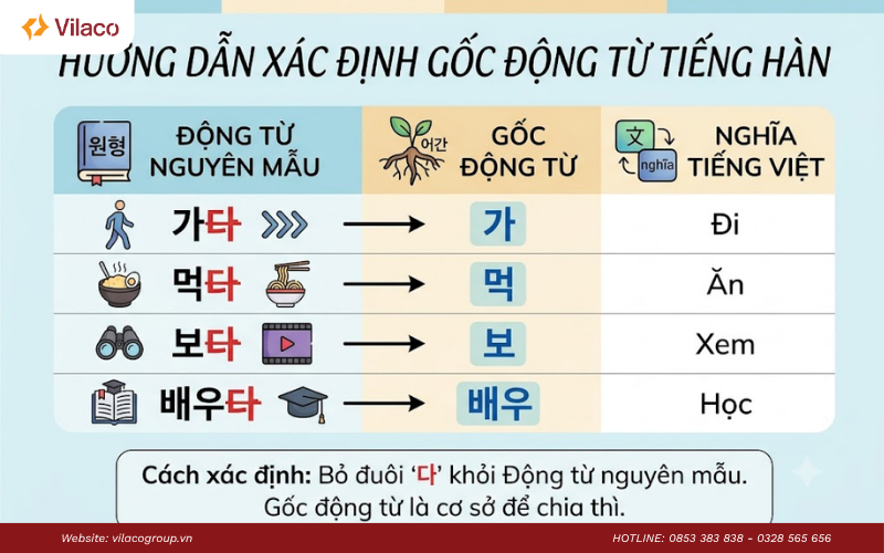cách chia động từ tiếng Hàn