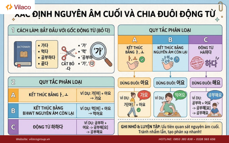 cách chia động từ tiếng Hàn