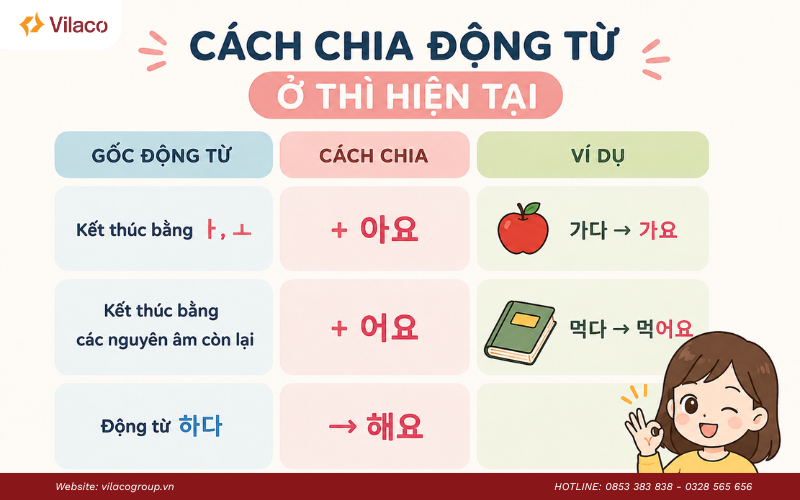 cách chia động từ tiếng Hàn