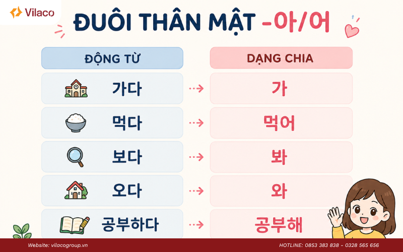 cách chia động từ tiếng Hàn