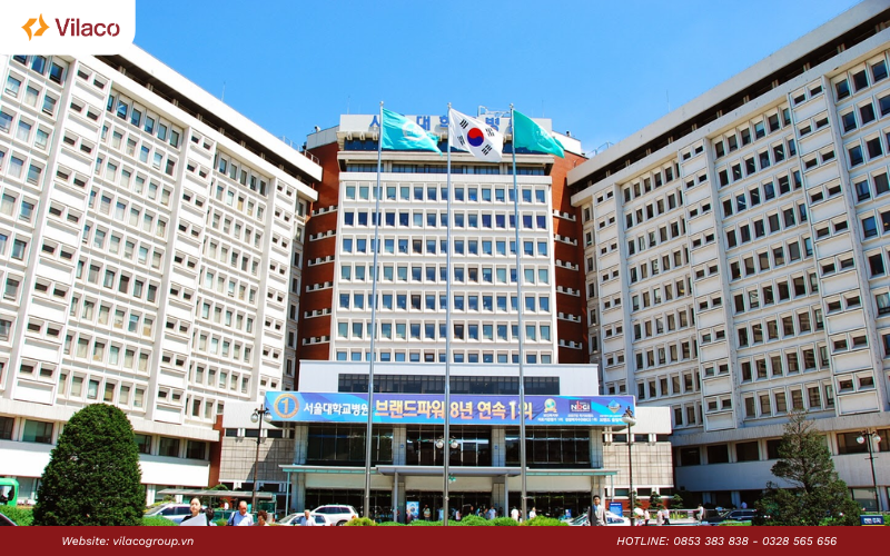 Thời gian nộp hồ sơ du học Hàn Quốc