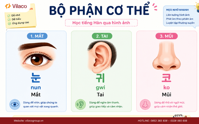 từ vựng tiếng Hàn ngành điều dưỡng