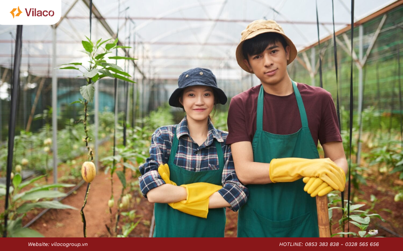 từ vựng tiếng Hàn ngành nông nghiệp