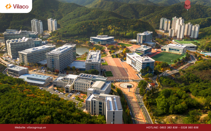 xếp hạng các trường đại học Hàn Quốc 2026