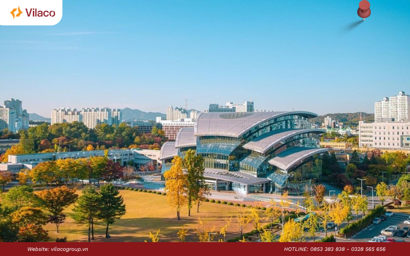xếp hạng các trường đại học Hàn Quốc 2026