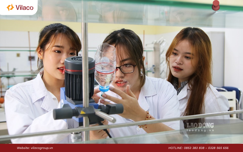  Đại học Korea