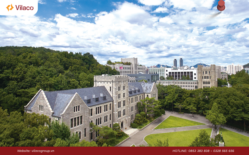  Đại học Korea